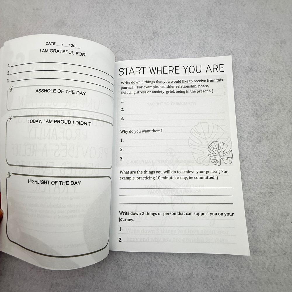 Fu*k It: Guided Gratitude Journal Sweary Self-Care Daily Prompts Gentle Root Co - Picture 5 of 6